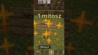 2 mitosz leteszteltem hogy igaz vagy hamis #minecraftban #shorts