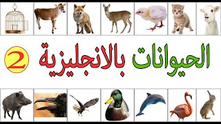 اسماء الحيوانات بالإنجليزية animals in english