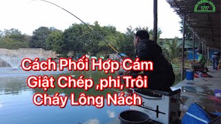 Cách Kết Hợp Bài Cám 4 Loại Trở Thành 5 Loại Câu Chép ,Phi , Trôi Siêu Nhạy