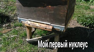 DIY. 🔨Мой первый нуклеус. Пчеловодство, пасека, улей