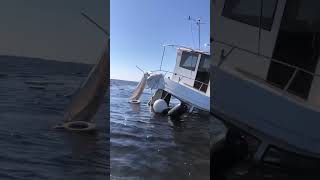 Yacht leaking diesel fuel sunk from hurricane Milton #shorts