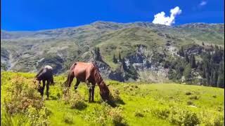 Beauty of Nature #Kpk #Pakistan