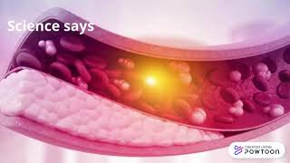 Cholesterol In Quran