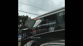 Story wa bus Kupu-kupu Ayu JAGUAR ||Story'wa bus keren 30 detik||