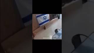 Lihatlah apa yang dilakukan kucing ini ke bendera sirewel #palestina #infodunia #muslimpulsee