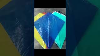 Awesome mini kite #shorts #kite #diytoys