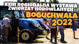 XXIII Regionalna Wystawa Zwierząt Hodowlanych w Boguchwale 2022 :: LS Tractor :: Traktor.com.pl