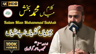 NEW SUPER HIT KALAM MIAN MUHAMMAD BAKHSH SAIF UL MALOOK || BY MAHBOOB AHMAD GOLDVI _ Amir Studio