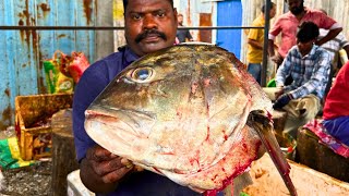 KASIMEDU SPEED SELVAM BIGGEST TREVALLY FISH CUTTING VIDEO CUTTING FOCUS