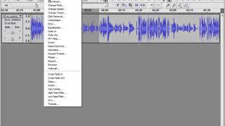 Record and Edit Skype Calls in Stereo Using Pamela and Audacity