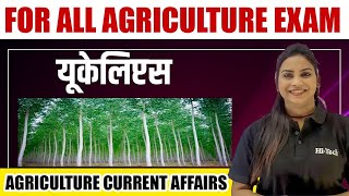 चर्चा में यूकेलिप्टस | Eucalyptus Plantation | Kerala | Latest Update | #hitechclassesudaipur