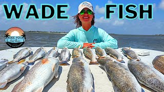 Galveston Wade Fishing Tournament Video