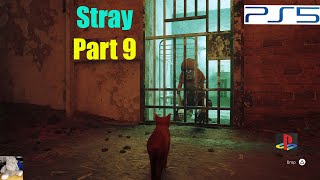 Stray Playthrough 9