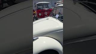 VW car show part 2 #beetle