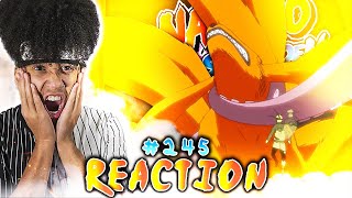 NARUTO SHIPPUDEN Episode 245 REACTION "Naruto vs. The Nine Tails" | Anime Reaction