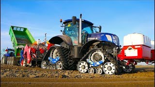 Planting Potatoes | New Holland T7.270 Blue Power on Zuidberg Tracks + Miedema CP42 | Buth Dirksland