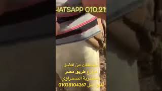 مقتطفات من اجمل ما تم عرضه علي قناتنا علي يوتيوب