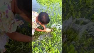 Amazing hand Fishing in Village #fishing #cutebaby #fishng #freshwaterfish #fish