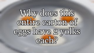 Why does this entire carton of eggs have 2 yolks each?