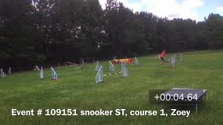 USDAA Event # 109151 Snooker ST, course 1, Zoey, 16 inches