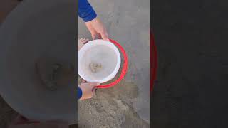 catch of the day - #TanjungTuanBeach #lowtide #beachforkids #nicebeachinPD #portdicksonbeach