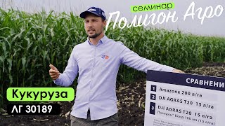 Полигон Агро | Кукуруза | Семинар | Результаты опытов