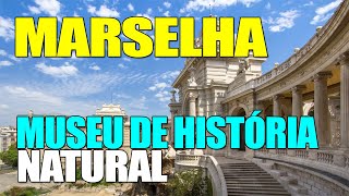 MARSELHA MUSEU DE HISTÓRIA NATURAL SUL DA FRANÇA