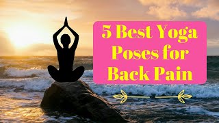 Yoga for a Pain-Free Back - Discover the 5 Best Poses