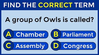 Vocabulary Challenge: Find The Correct Term! #challenge 15