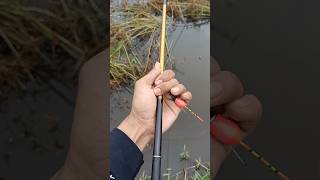 MANCING LIAR DI PARIT ANGKER KETEMU HEWAN ANEH 😭😨!!#shortvideo