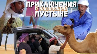 Как живут бедуины / Автостопом по Абу-Даби #путешествие #кузенвлог