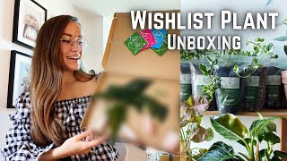 Wish List Plant Unboxing / Plant Swap