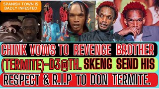 Chink VOWS To REVENGE His BROTHER Termite’s-D3@TH? UNBELIEVABLE SKENG Sends RESPECT & R.I.P To DON