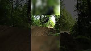 A Motocross Ride Through the Forest