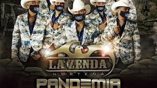 La Zenda Norteña - Como Te Olvido (2021) Pandemia