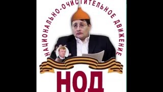 Национальное Очистительное Движение НОД