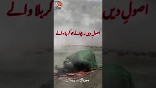 Imam Hussain a.s poetry #shiapoetry #youtubeshorts #ytshorts #imamhussain #karbala #mohsinnaqvi