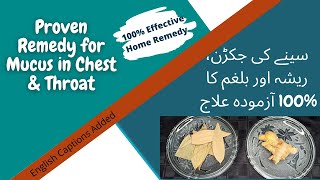 Instantly Remove Mucus and Phlegm in Chest 100% | Healthcare Remedy for Phlegm and Mucus In Throat