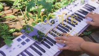 Học Tiếng Mèo Kêu ( Acoustic ) | Hưng Hack | Nhạc Thiên Nhiên Thư Giãn Cực Chill