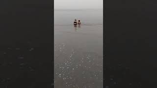 The twins playing in the waves 🌊