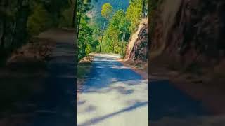 RRAK TAK TAK | Nainital Uttarakhand #shorts #nature #nainital #travel #vlog #hills #nainital #forest