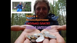 Работа в Англии. Первая зарплата.  Ожидание - реальность. Ответы на вопросы