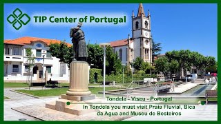 Tondela - Viseu - Portugal