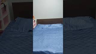 #affordable #Diwali online bed sheet#Amazon haul# #affordable# bedsheet link👇👇//amzn.to/3DerJqB