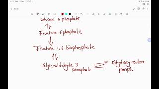 3 Irreversible reactions of Glycolysis