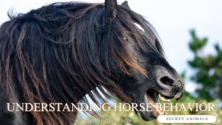 Understanding Horse Behavior