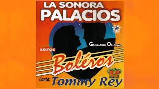 Sonora Palacios  -  Volverás