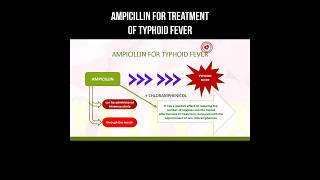 Ampicillin for treatment of typhoid fever #ampicillin #typhoidfever #typhoidtreatment #typhoid