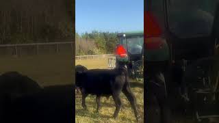 John Deere 5075E tractor placing a round bale