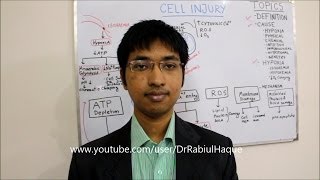 Cell Injury ( Part 2 ) : Various Mechanisms, Reversible & Irreversible Injury, Necrosis (HD)